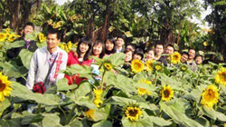 Happy Tour to Chimelong Paradise and Sunflower Garden