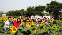 Happy Tour to Chimelong Paradise and Sunflower Garden